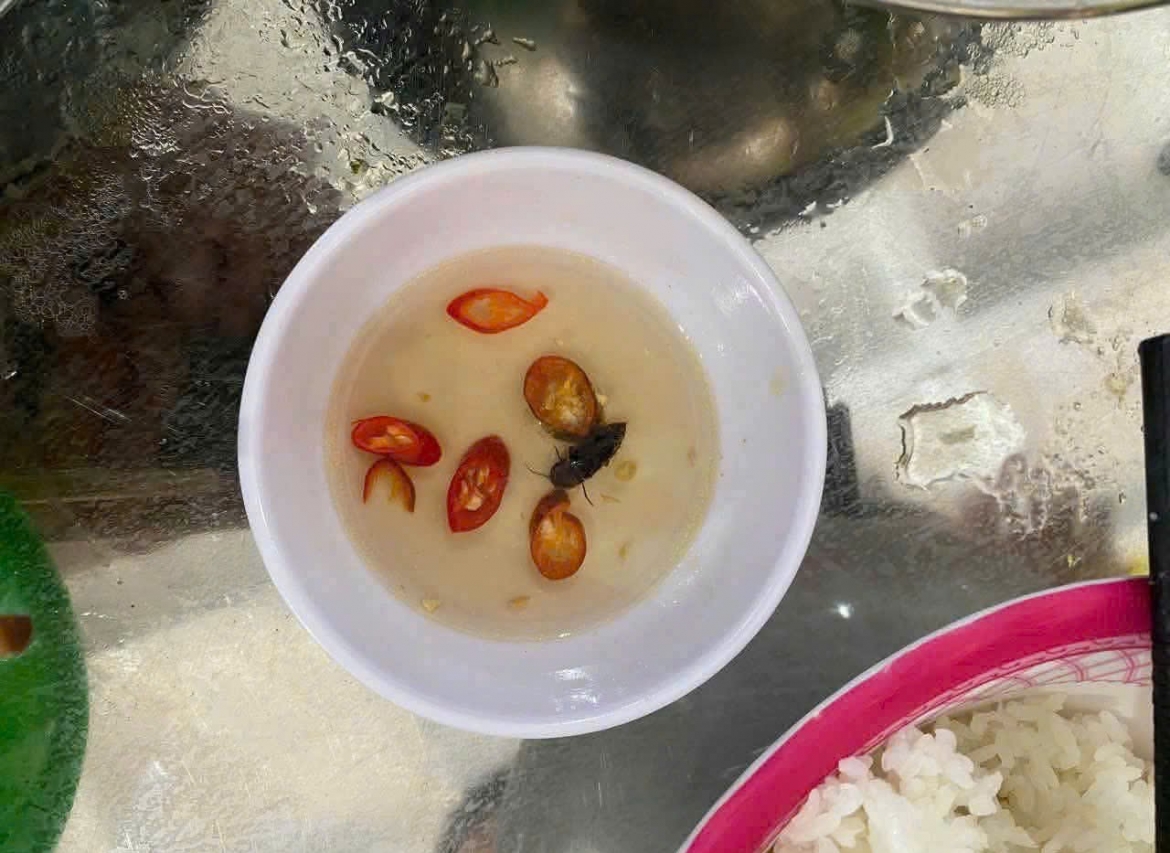 Bữa ăn sinh viên Đại học Huế canh rau có sâu, đơn vị nấu ăn xin lỗi